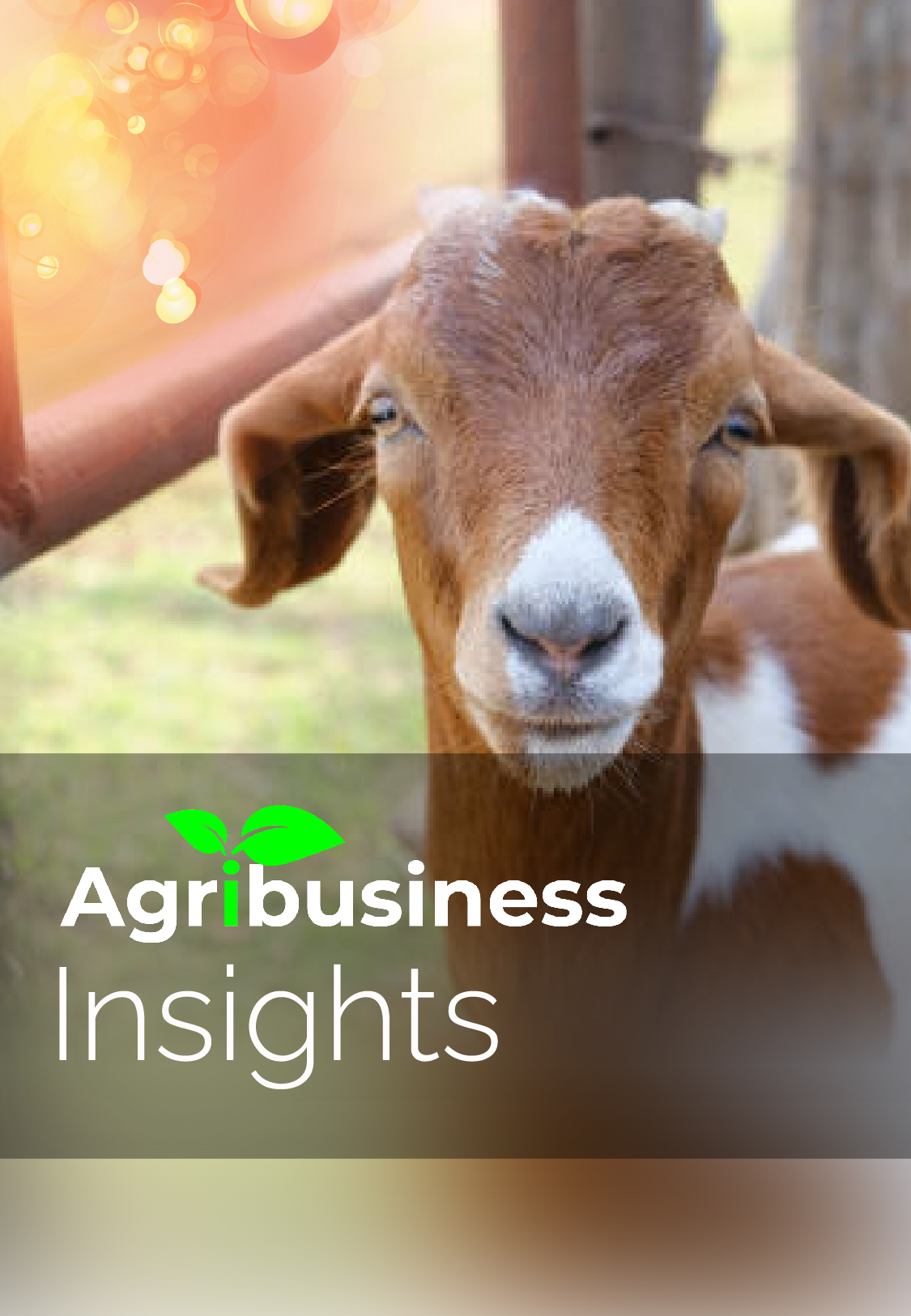 Agribusiness insights (Goat farming)